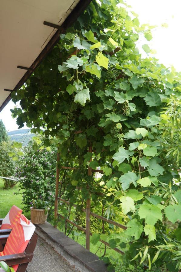 Pension Klimesch Mondsee Exteriör bild